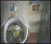 05_alvin.jpg