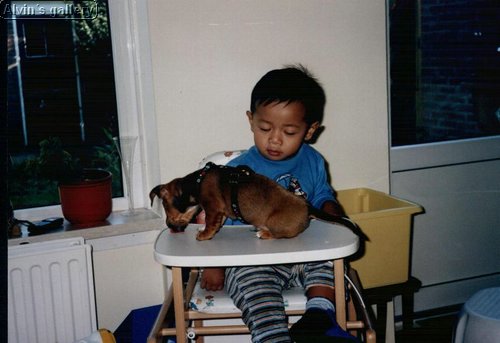 03_alvin.JPG