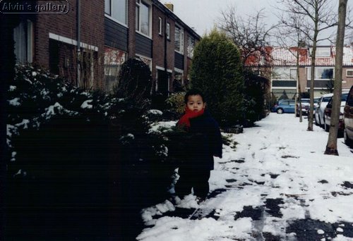 04_alvin.jpg