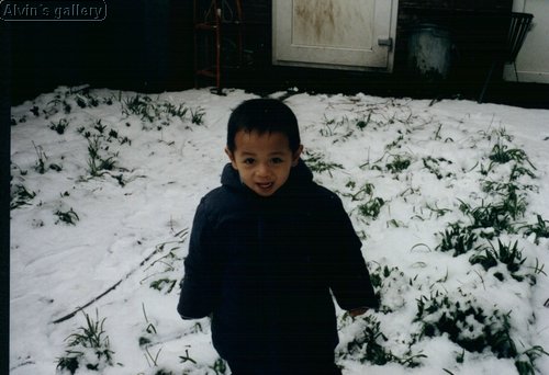 06_alvin.jpg