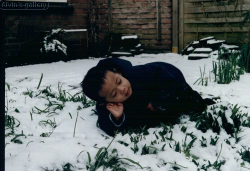 08_alvin.jpg